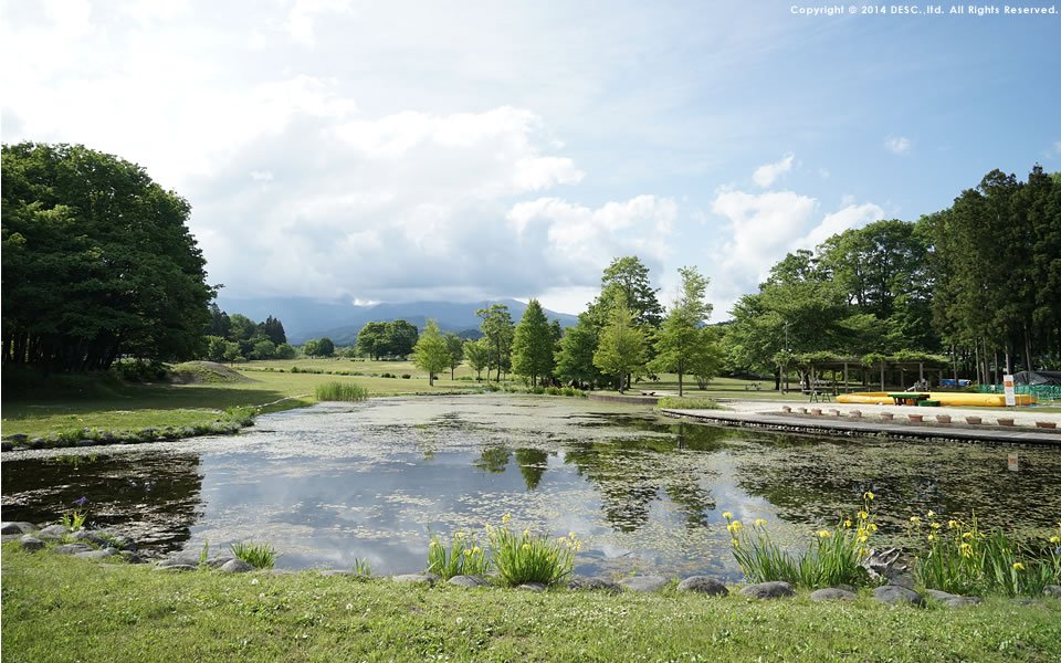 🏞️ 다이야가와 공원(닛코 다이야가와 코엔) 이미지 4